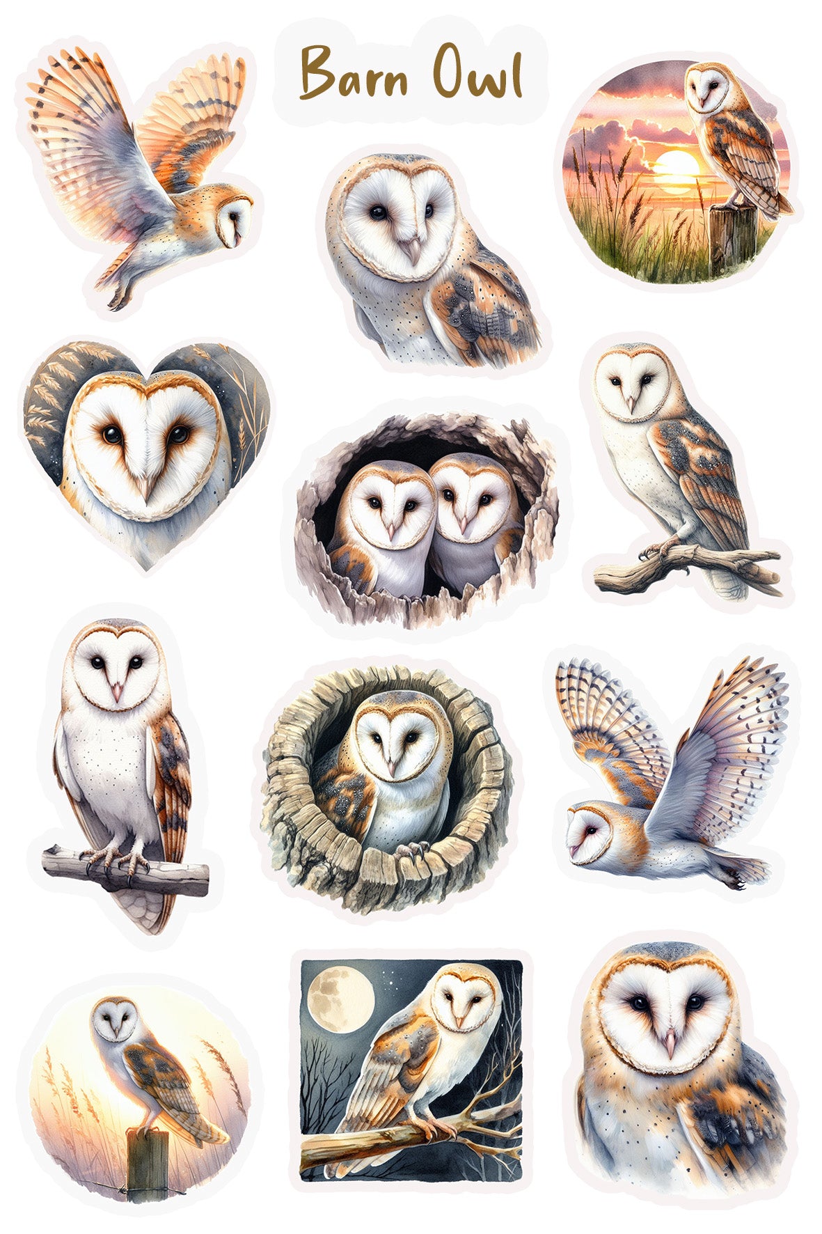 Barn Owl Sticker Sheet