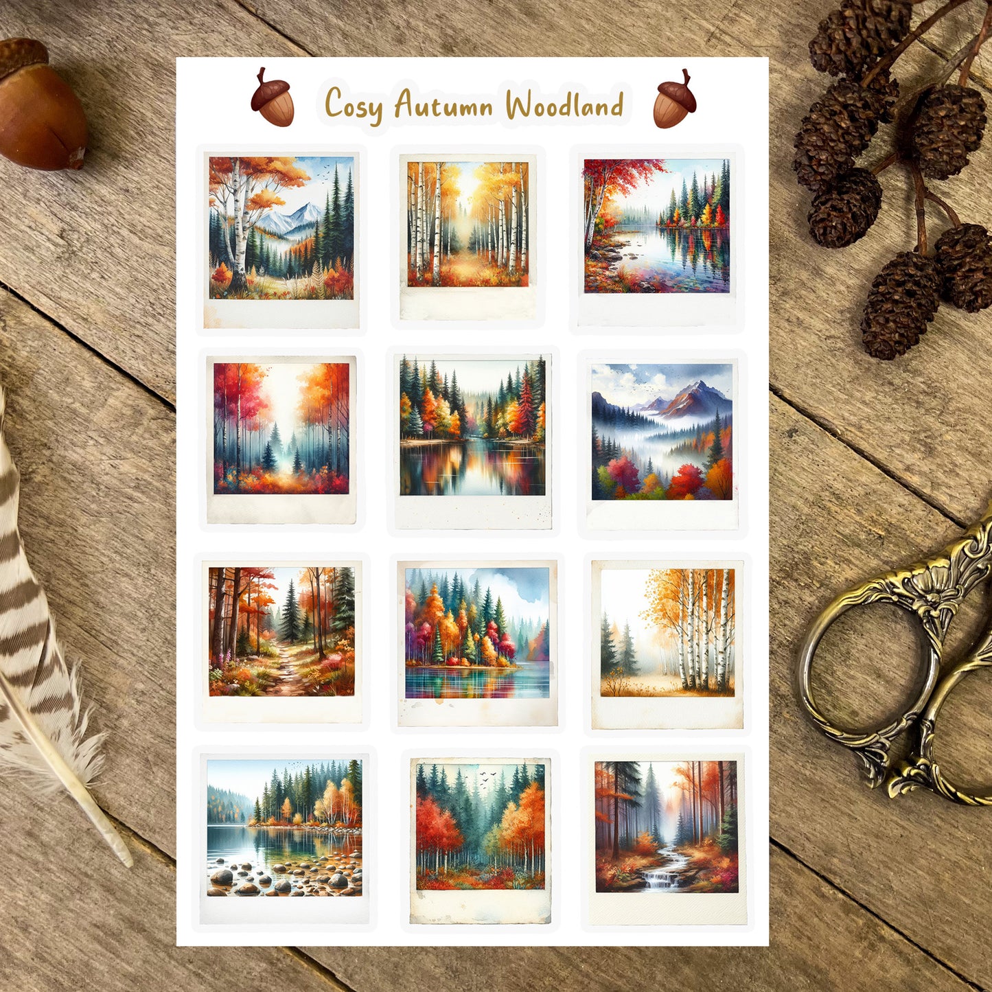 Autumn Woodland Polaroids Sticker Sheet