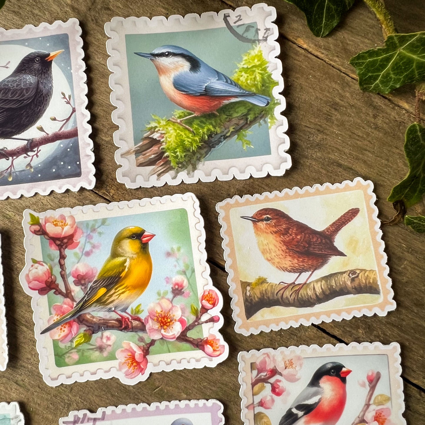 British Garden Birds Stamps Stickers 2