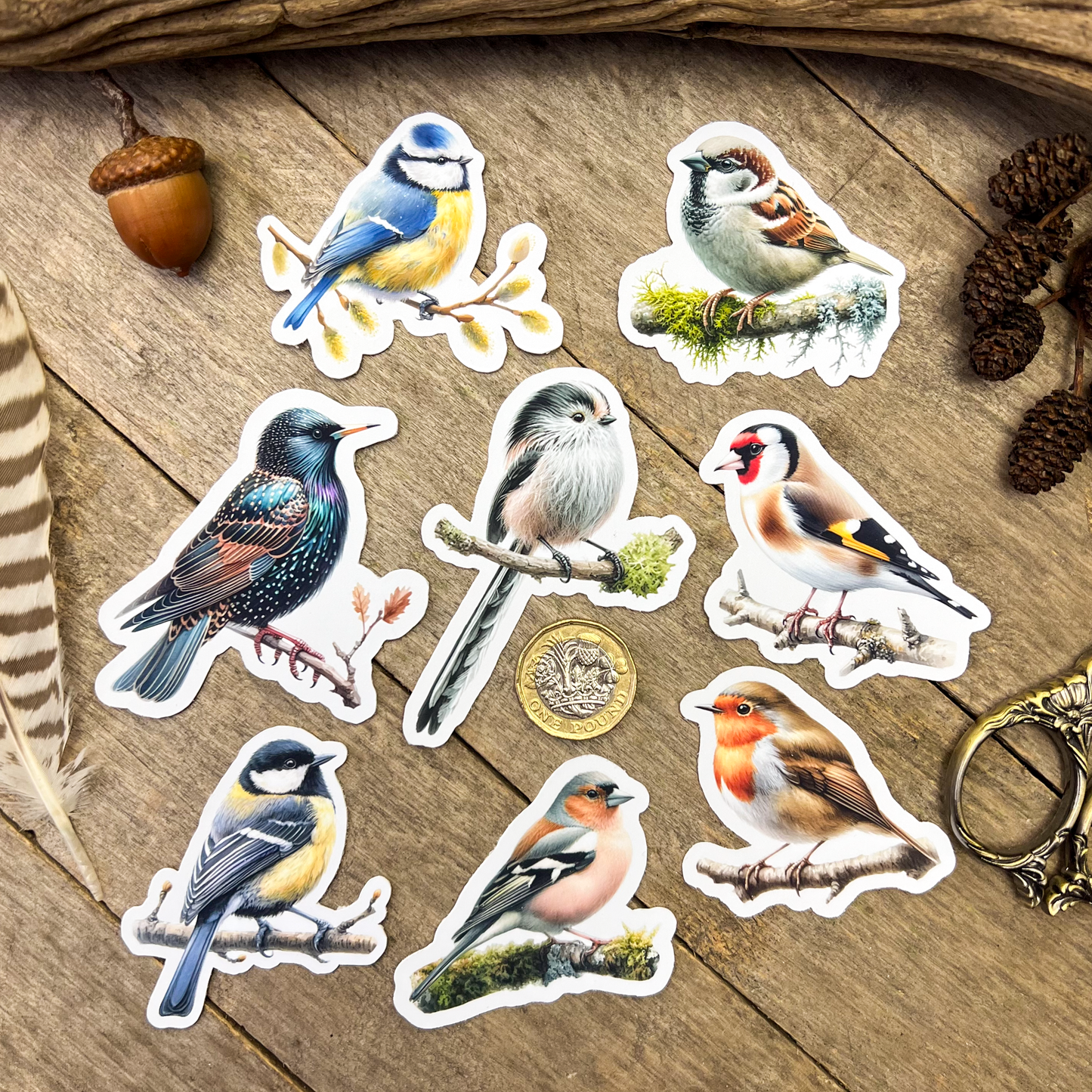 Garden Birds Sticker Pack