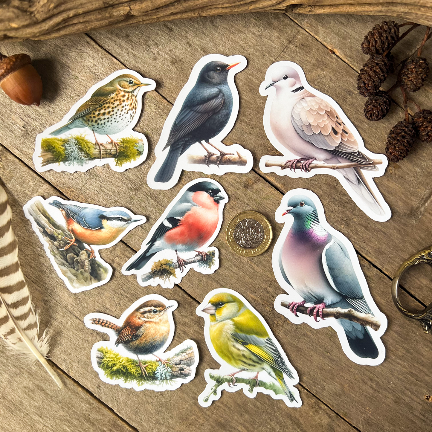 Garden Birds Sticker Pack 2