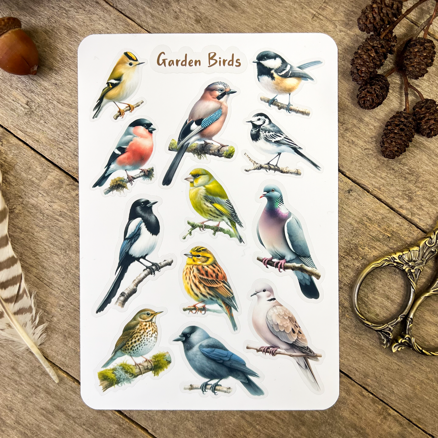 Garden Birds Sticker Sheet 2