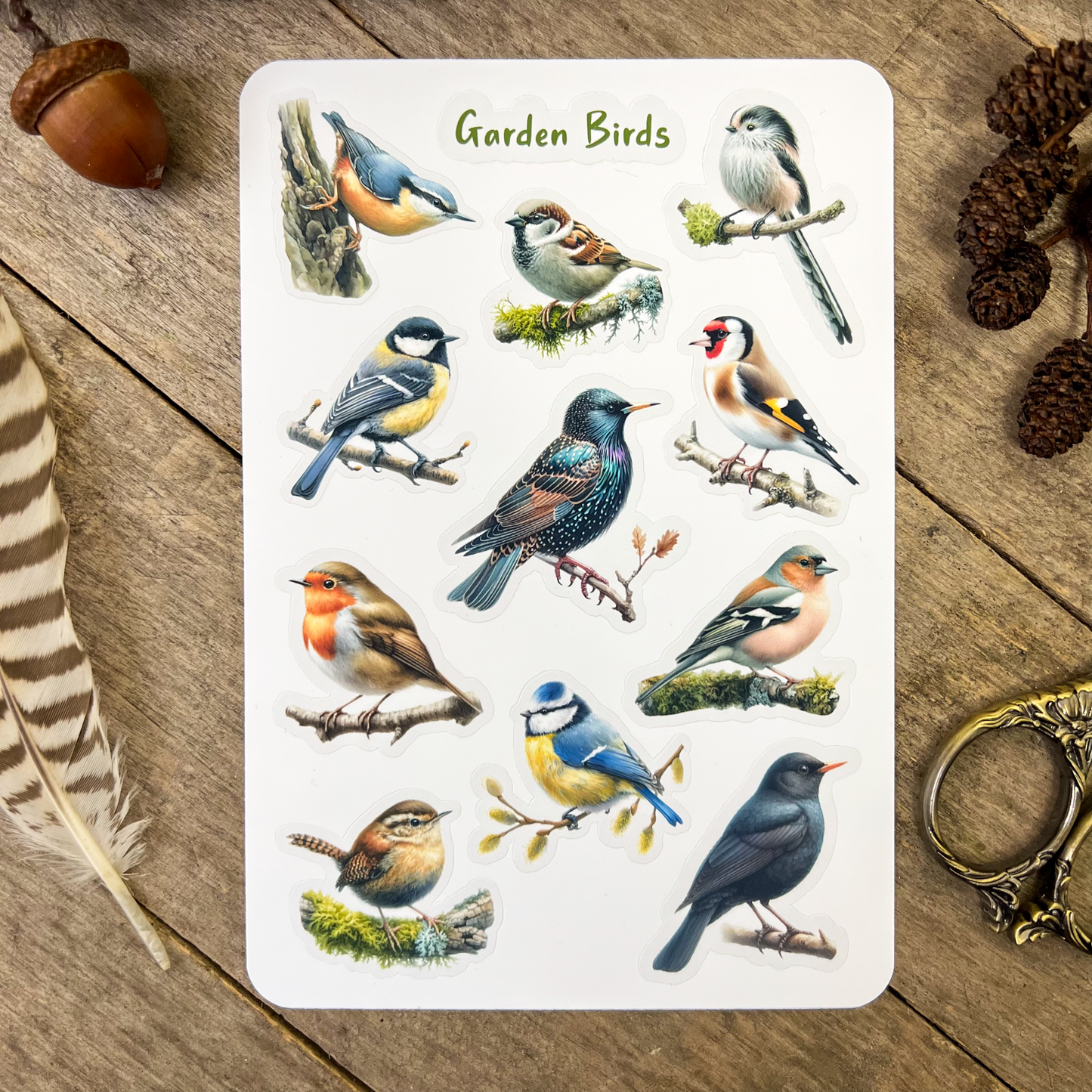 Garden Birds Sticker Sheet