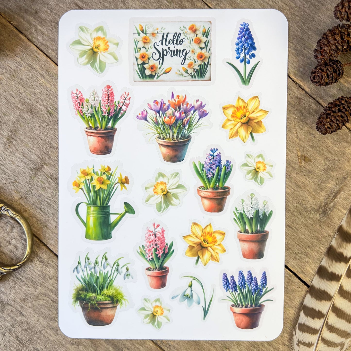 'Hello Spring' Spring Flowers Sticker Sheet