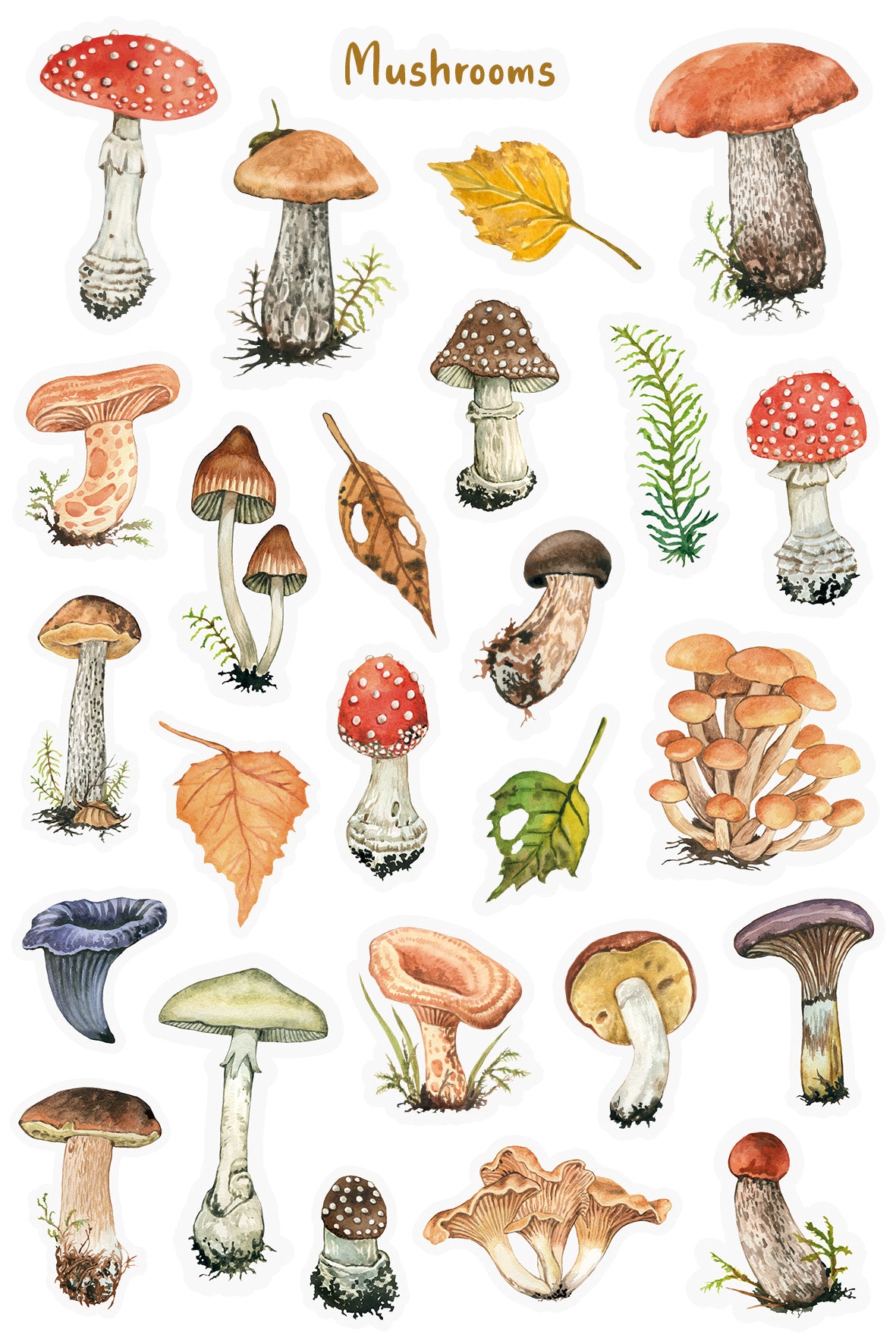 Autumnal Mushrooms Sticker Sheet