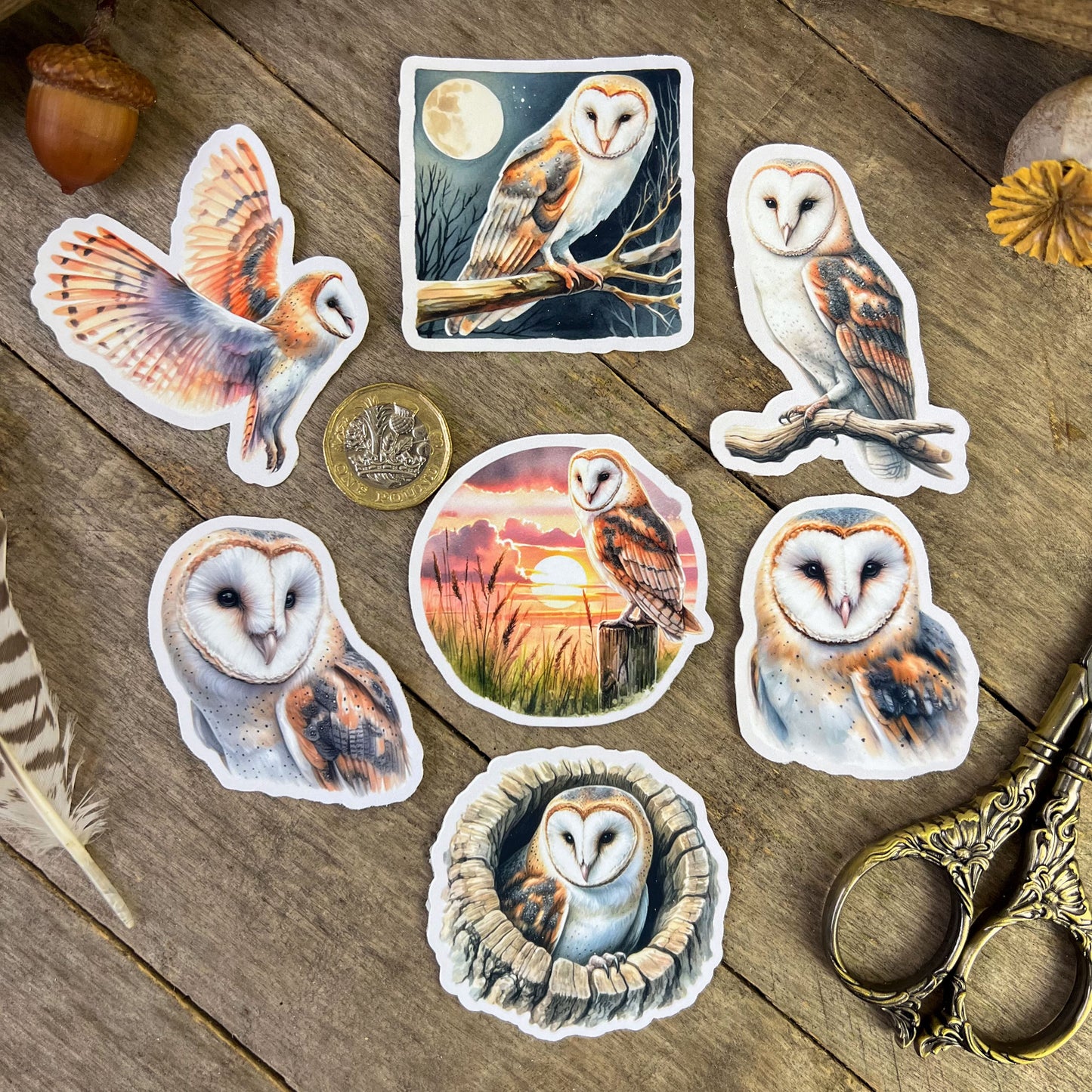 Barn Owl Sticker Pack