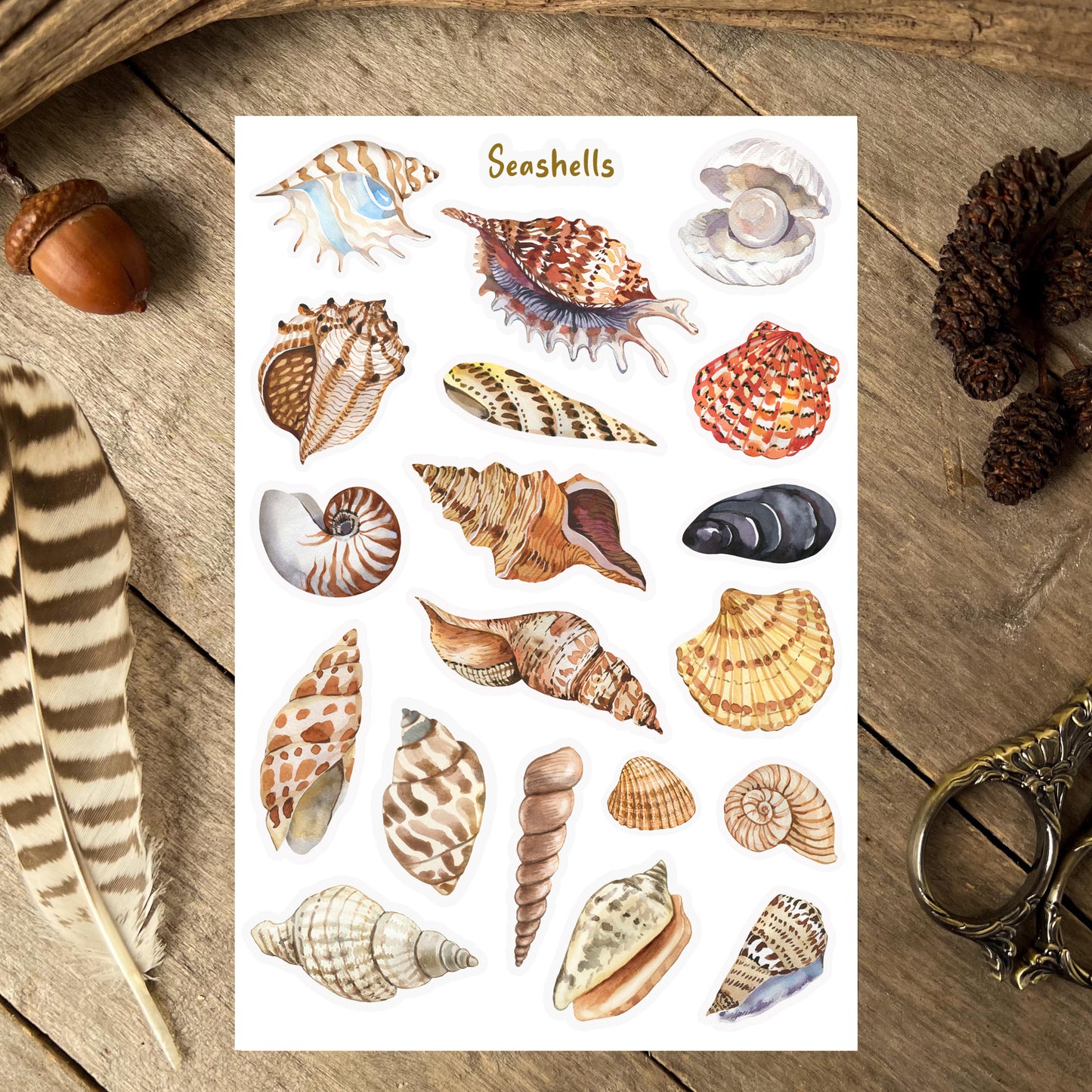 Seashells Sticker Sheet
