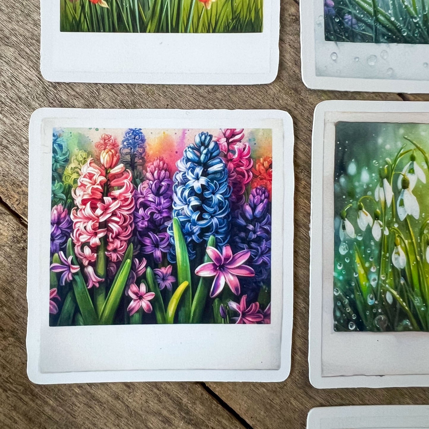 Spring Flowers Polaroid Stickers