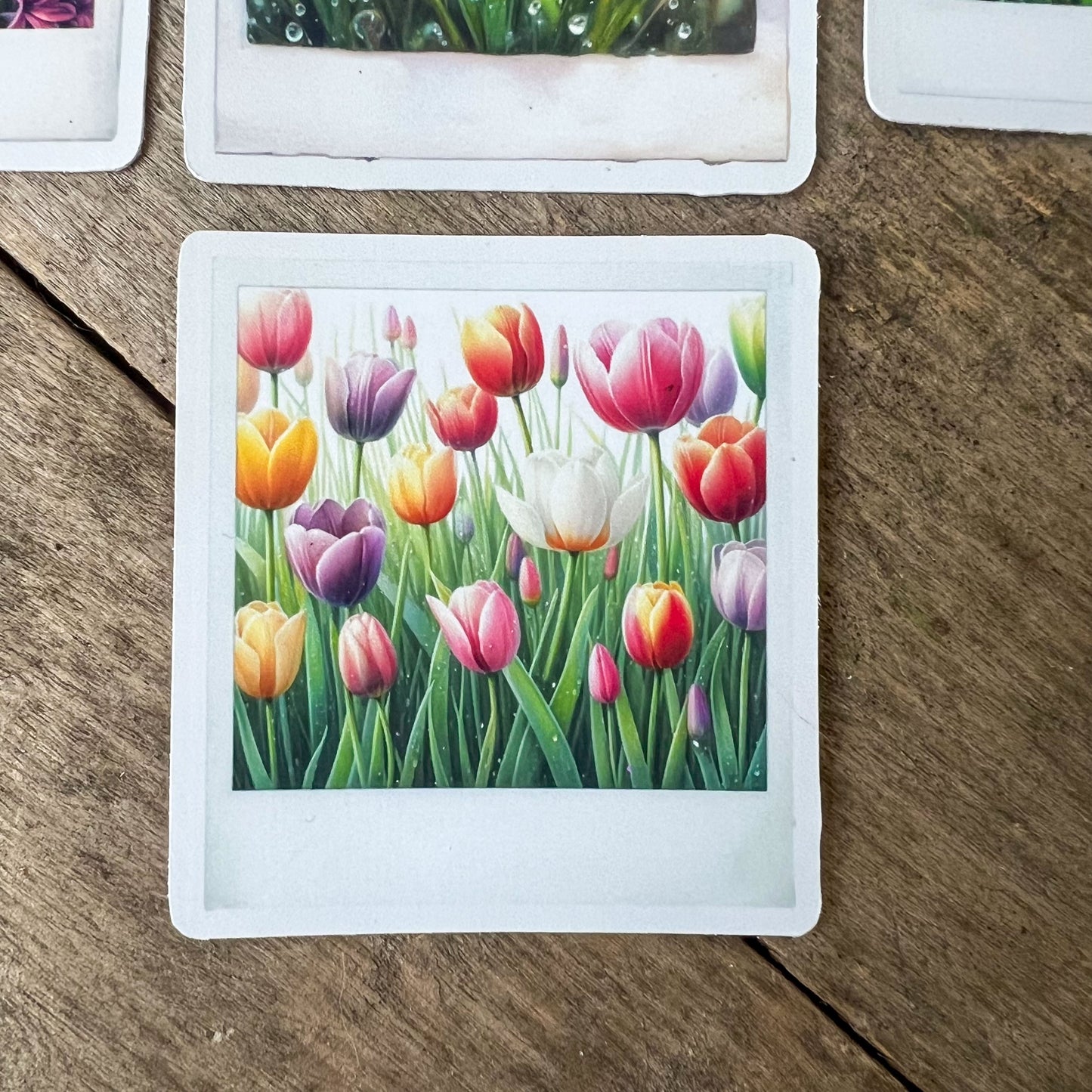 Spring Flowers Polaroid Stickers