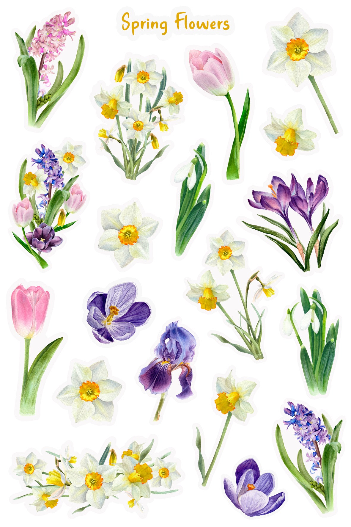 Spring Flowers Stickers Sheet