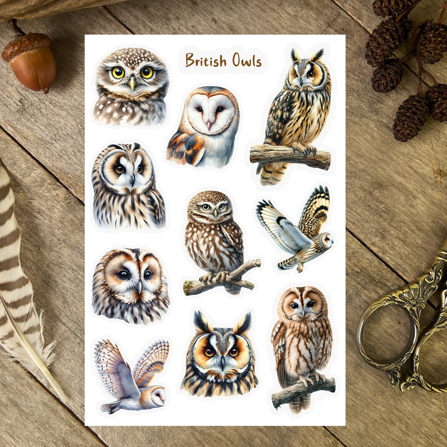 British Owls Sticker Sheet