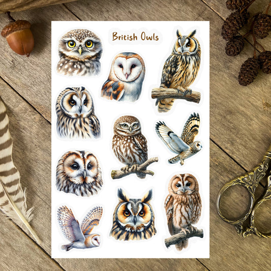 British Owls Sticker Sheet
