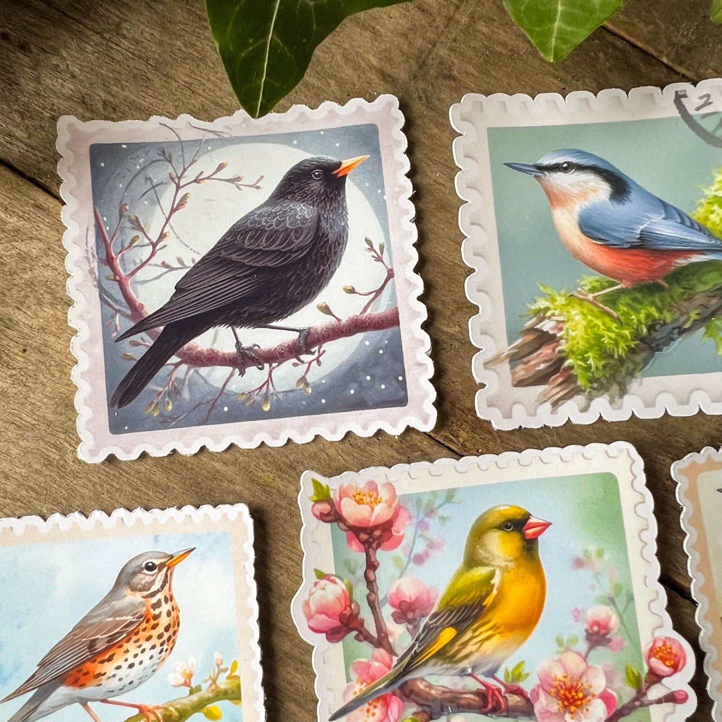 British Garden Birds Stamps Stickers 2
