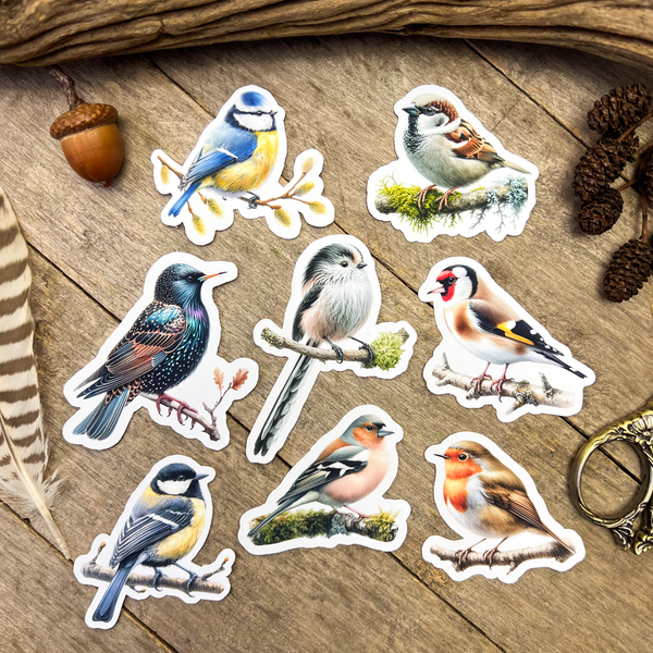Garden Birds Sticker Pack – Wild Bird Studio