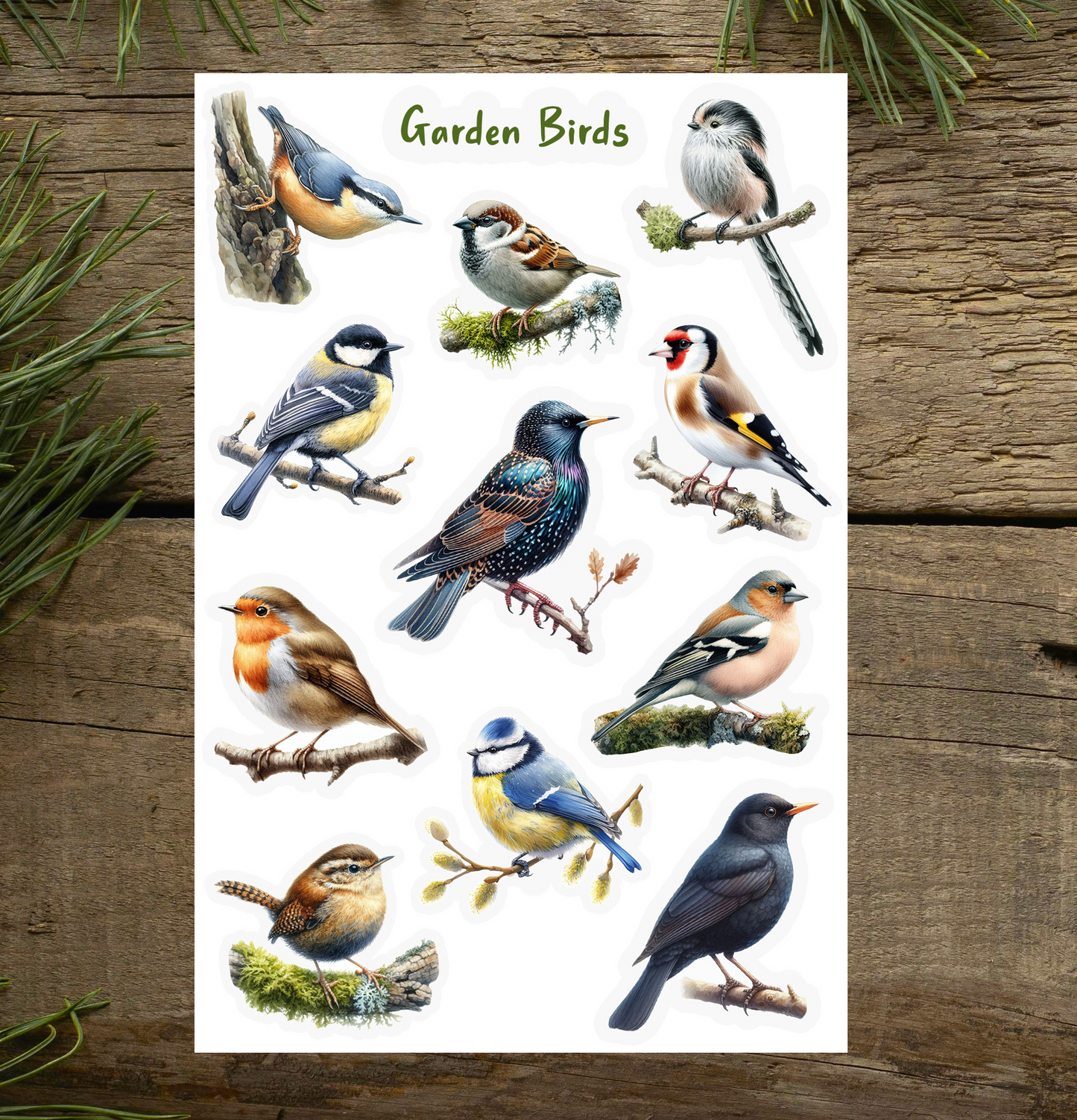 Garden Birds Sticker Sheet Bundle