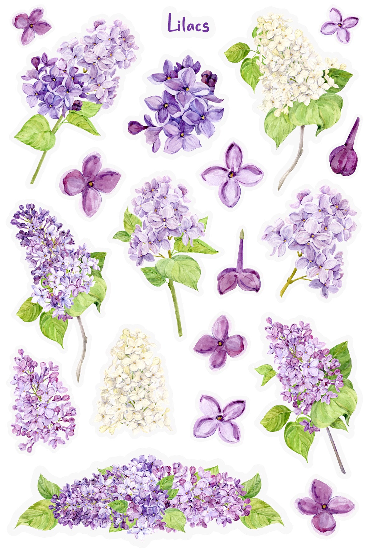 Sticker Note Lilac Lilac Blossoms Sticker Sheet – Wild Bird Studio