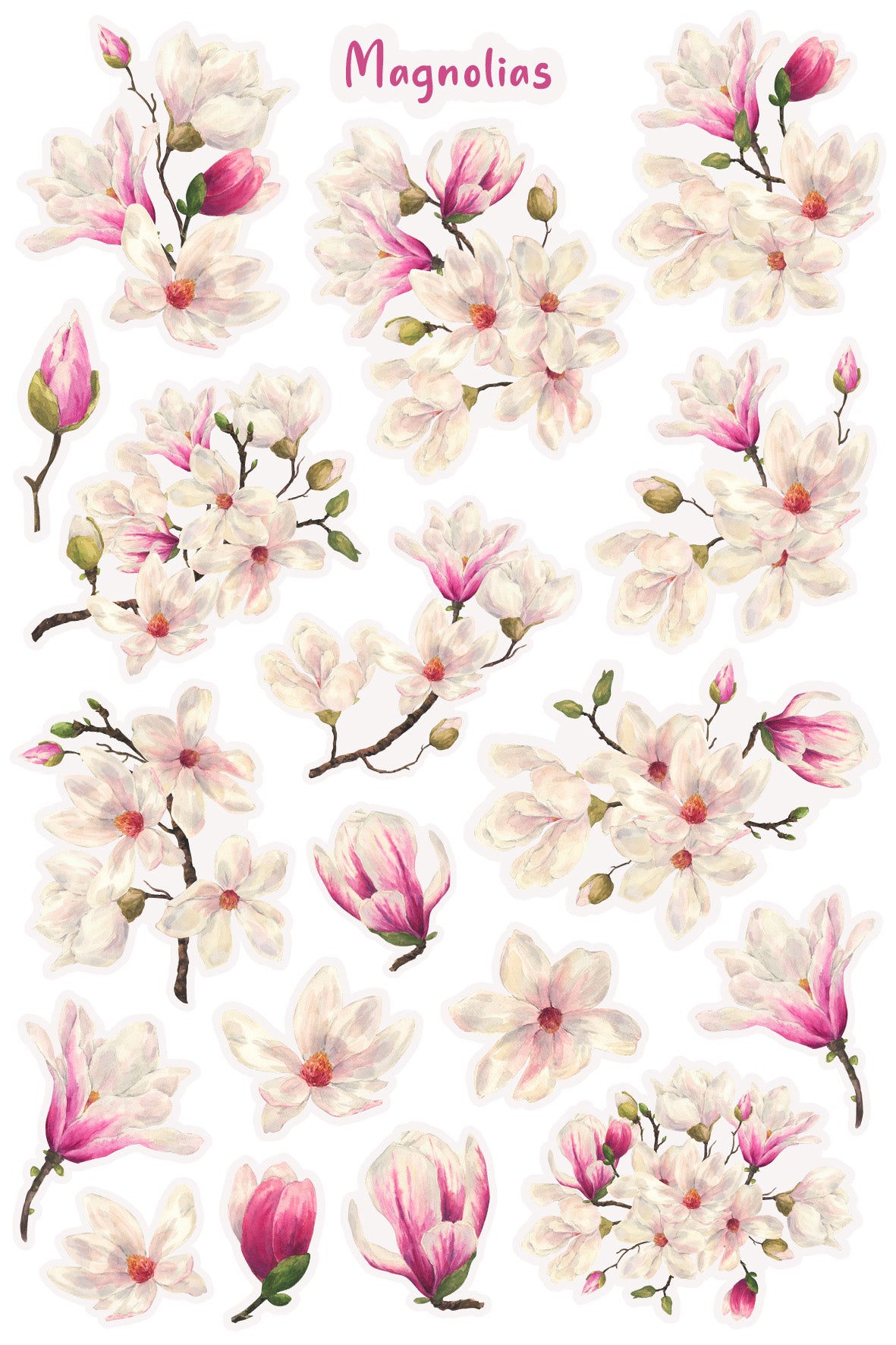 Magnolias Sticker Sheet