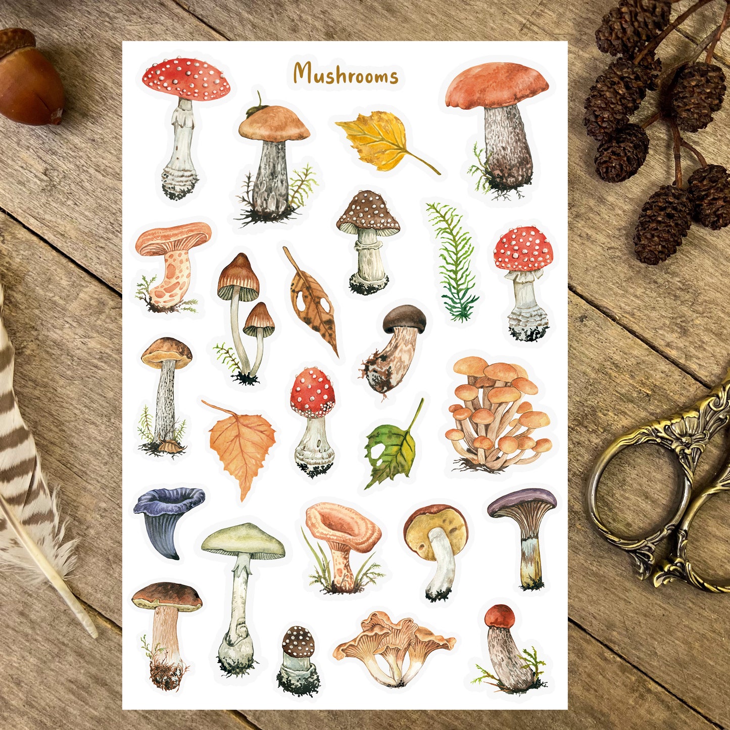 Autumnal Mushrooms Sticker Sheet