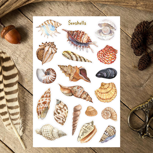 Seashells Sticker Sheet