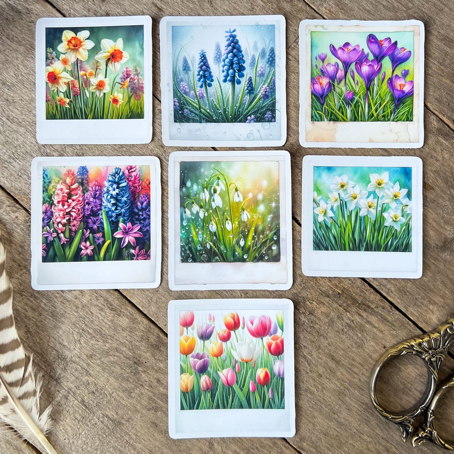 Spring Flowers Polaroid Stickers