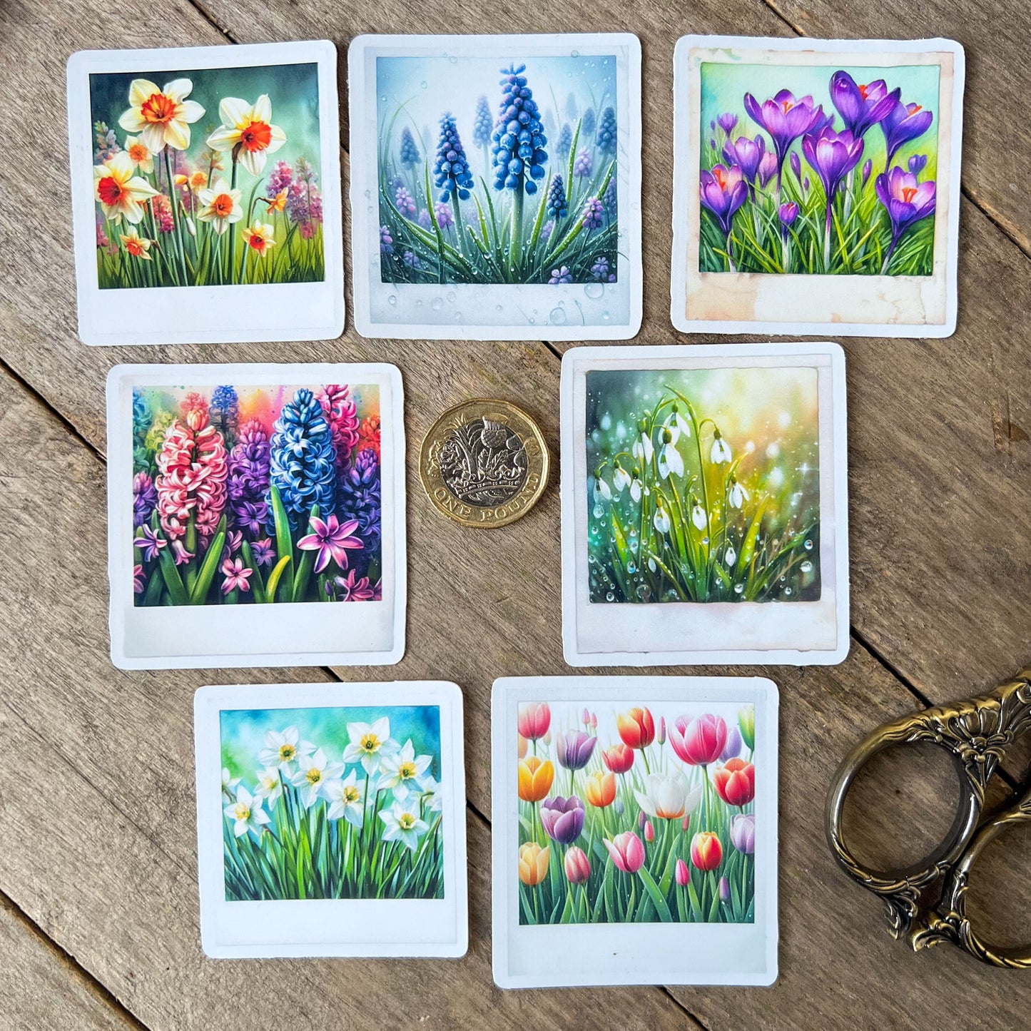 Spring Flowers Polaroid Stickers