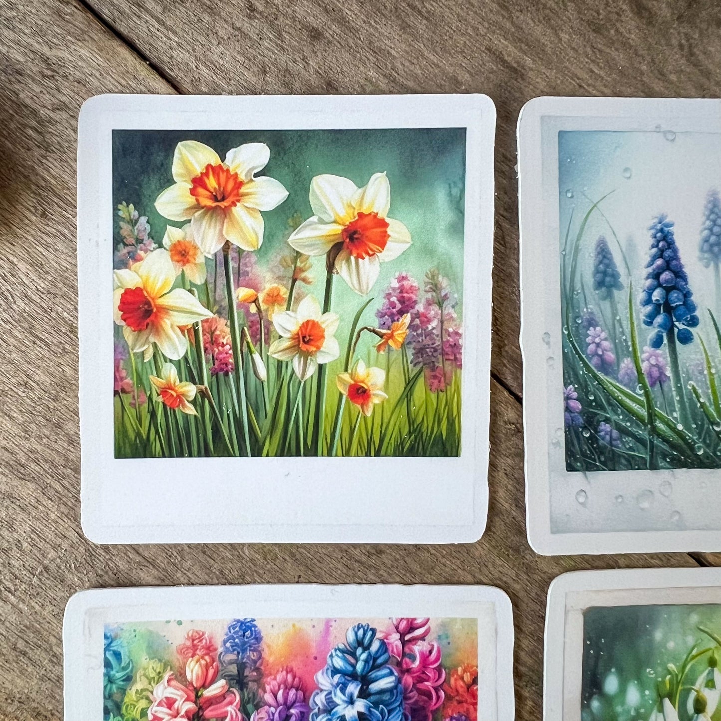 Spring Flowers Polaroid Stickers