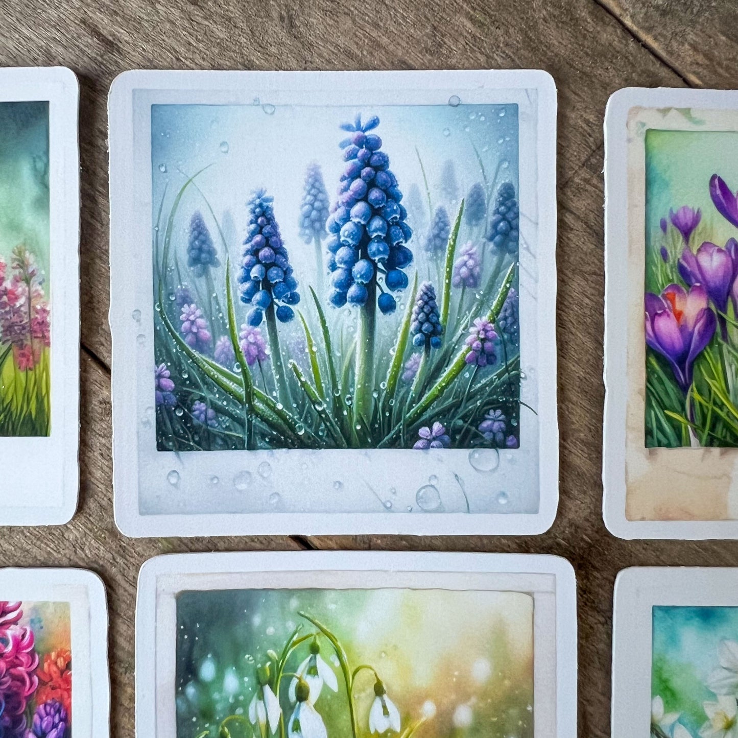 Spring Flowers Polaroid Stickers