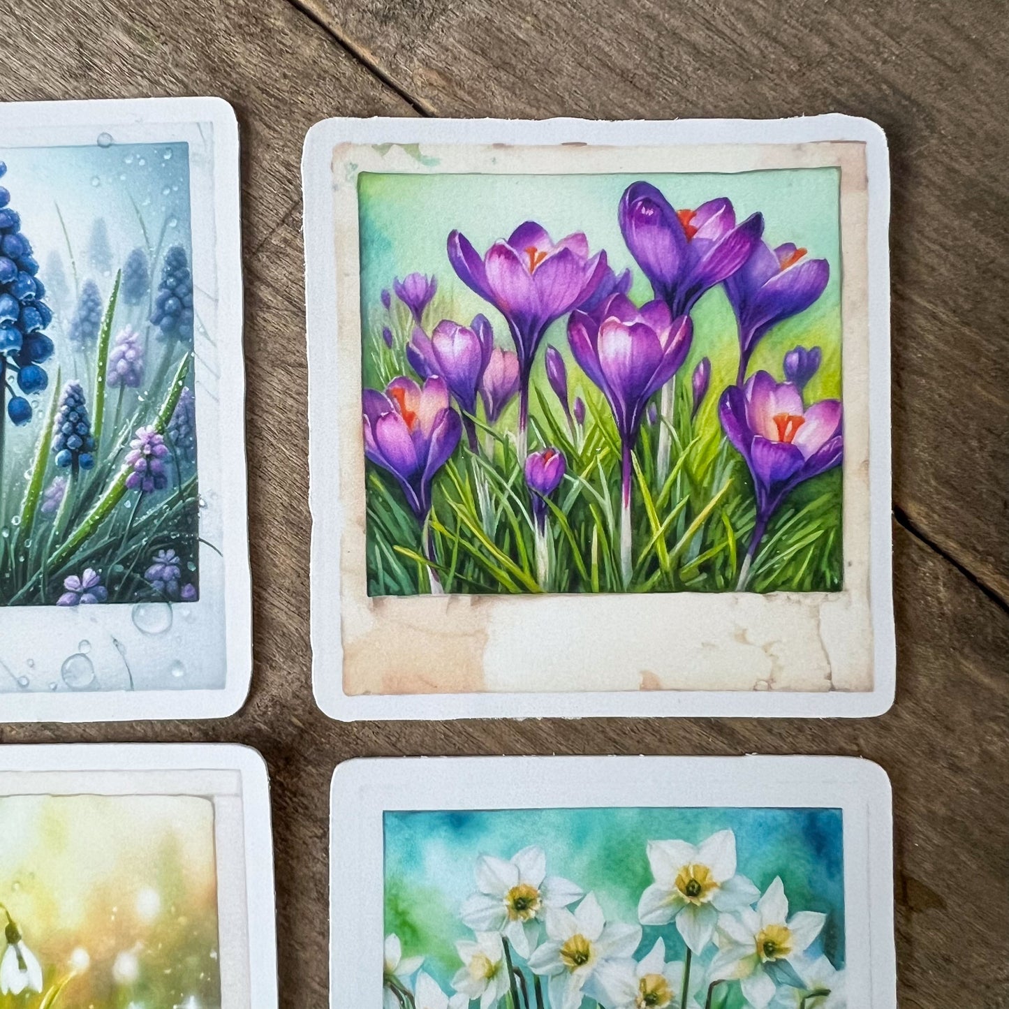 Spring Flowers Polaroid Stickers
