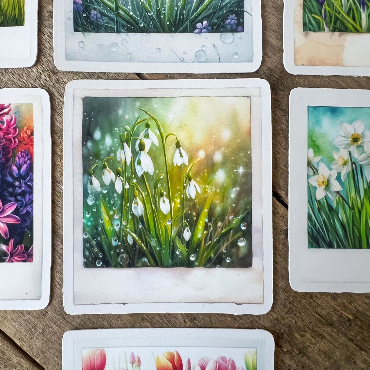 Spring Flowers Polaroid Stickers