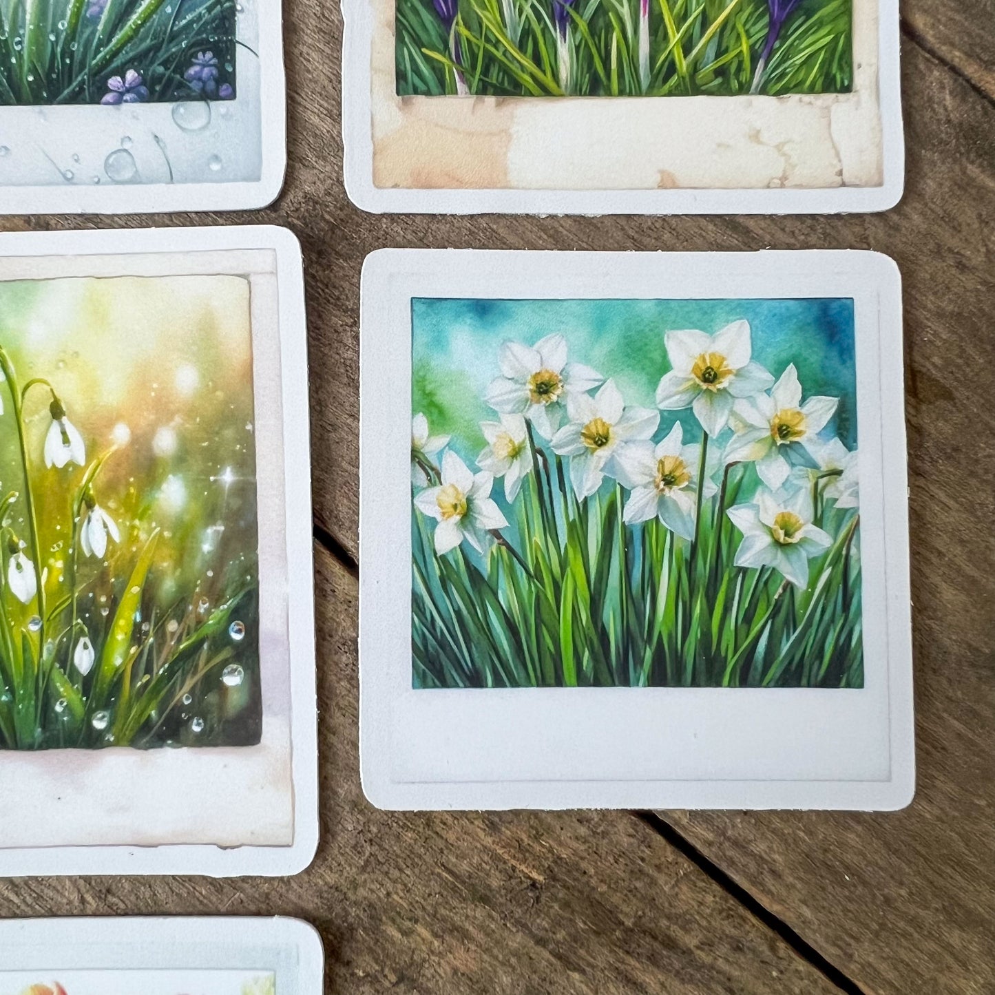 Spring Flowers Polaroid Stickers