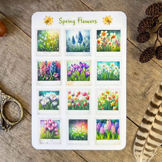 Spring Flowers Sticker Sheet